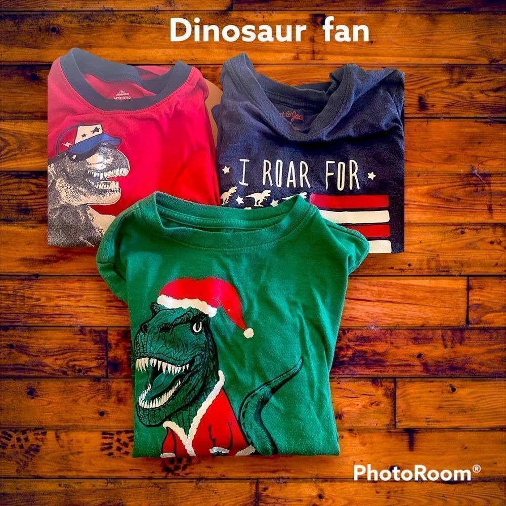 Dinosaur shirts 
